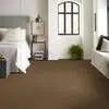 Caress - Cashmere Classic IV - Carpet Shaw Floors