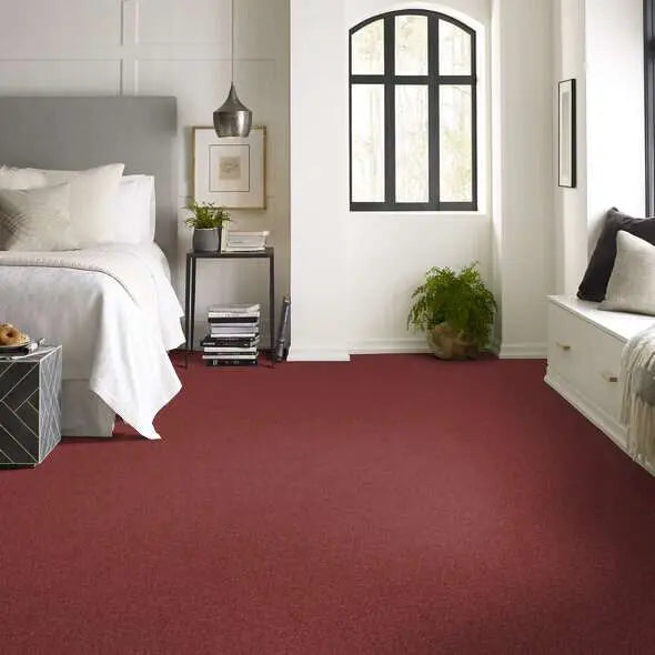Caress - Cashmere Classic IV - Carpet Shaw Floors