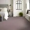 Caress - Cashmere Classic IV - Carpet Shaw Floors