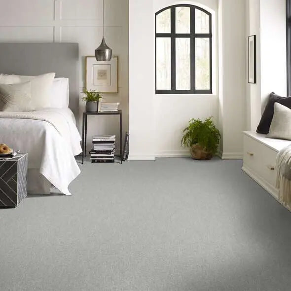Caress - Ombre Whisper - Carpet Shaw Floors