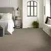 Caress - Angora Classic I - Carpet Shaw Floors