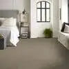 Caress - Angora Classic I - Carpet Shaw Floors