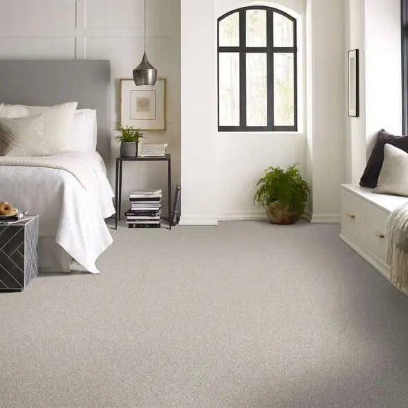Colorwall - Find your comfort I -Accent - Carpet Shaw Floors
