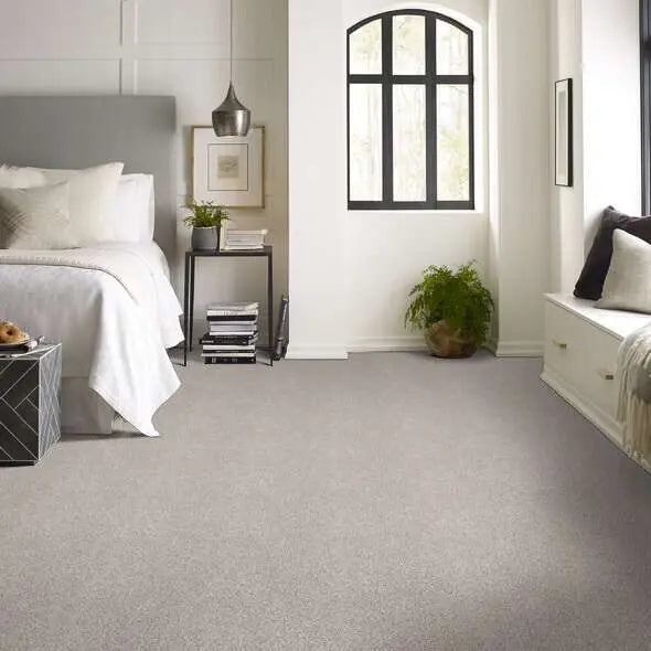 Colorwall - Find your comfort I -Accent - Carpet Shaw Floors