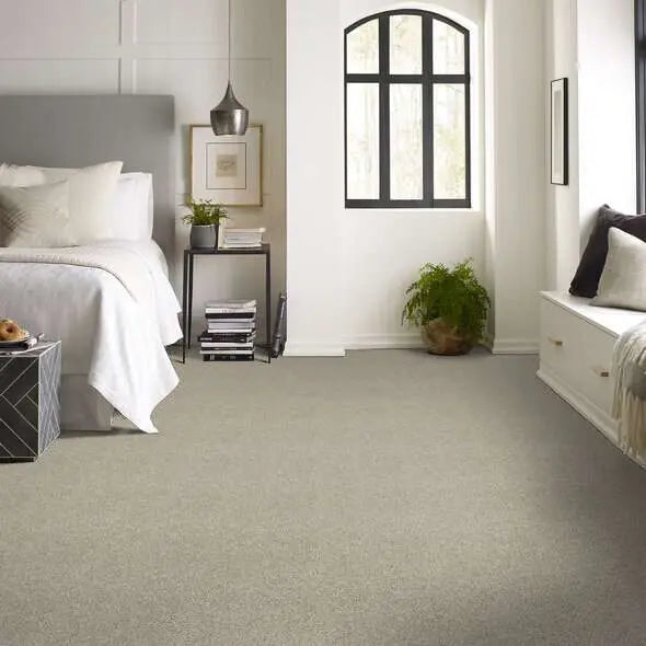Colorwall - Find your comfort I -Accent - Carpet Shaw Floors