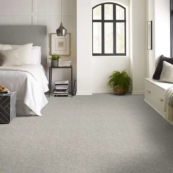 Colorwall - Find your comfort I -Accent - Carpet Shaw Floors