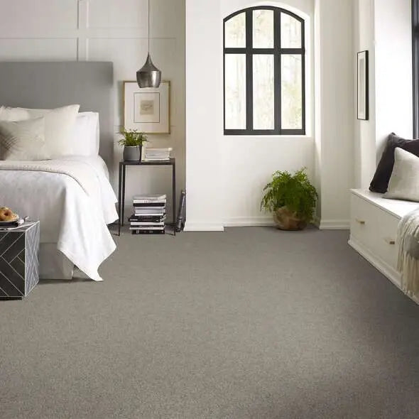 Colorwall - Find your comfort I -Accent - Carpet Shaw Floors
