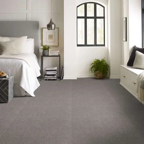 Colorwall - Find your comfort I -Accent - Carpet Shaw Floors