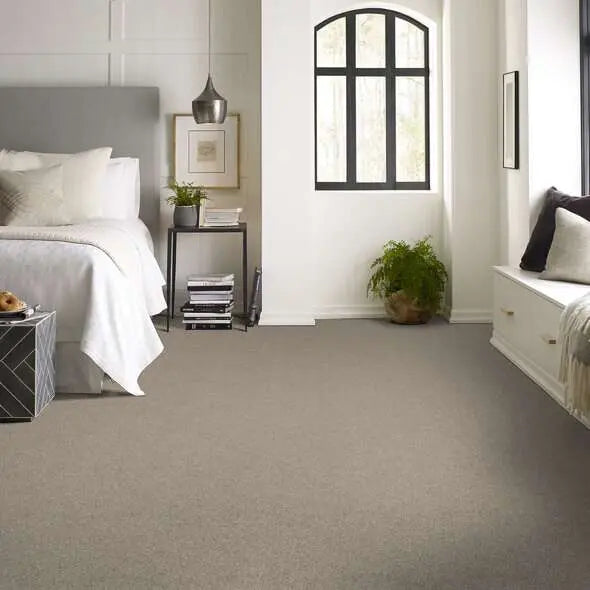 Colorwall - Find your comfort I -Accent - Carpet Shaw Floors