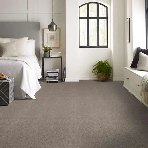 Colorwall - Find your comfort II -Accent - Carpet Shaw Floors