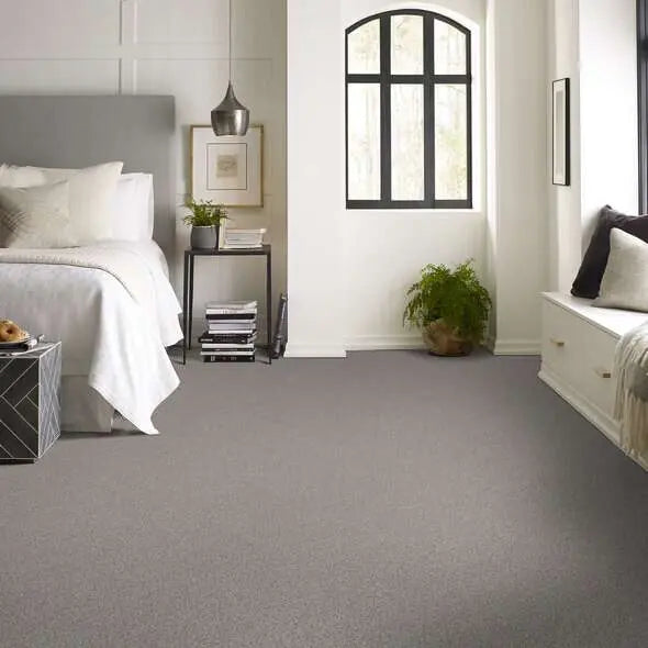 Colorwall - Find your comfort II -Accent - Carpet Shaw Floors