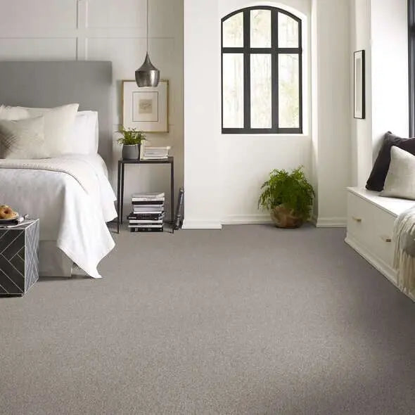 Colorwall - Find your comfort II -Accent - Carpet Shaw Floors