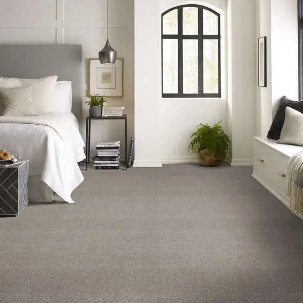 Colorwall - Find your comfort II -Accent - Carpet Shaw Floors