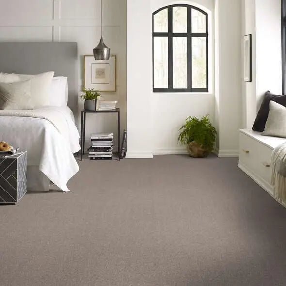 Colorwall - Find your comfort II -Accent - Carpet Shaw Floors