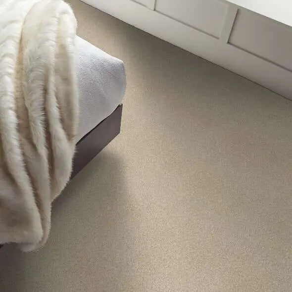 Colorwall - Tonal Comfort I - Carpet Shaw Floors