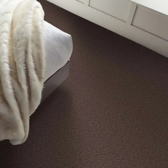 Colorwall - Tonal Comfort II - Carpet Shaw Floors