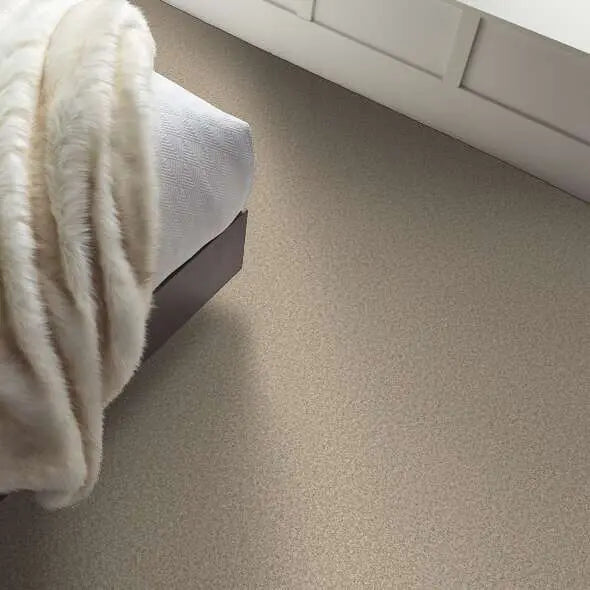 Colorwall - Tweed Comfort I - Carpet Shaw Floors