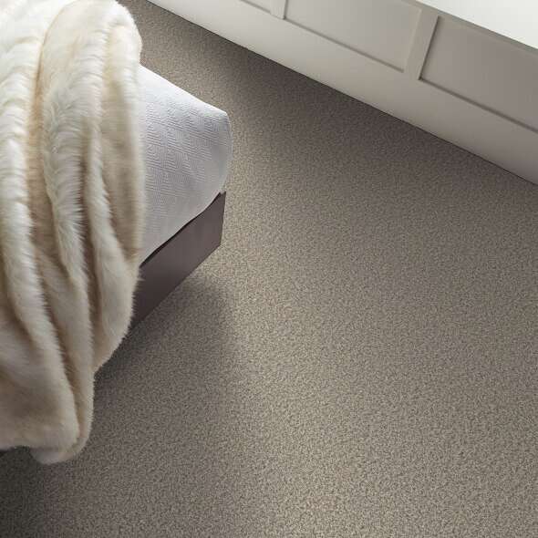 Colorwall - Tweed Comfort I - Carpet Shaw Floors