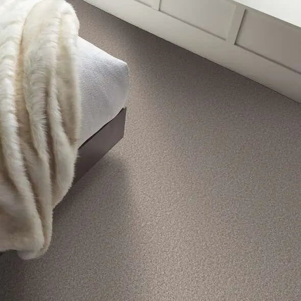 Colorwall - Tweed Comfort I - Carpet Shaw Floors