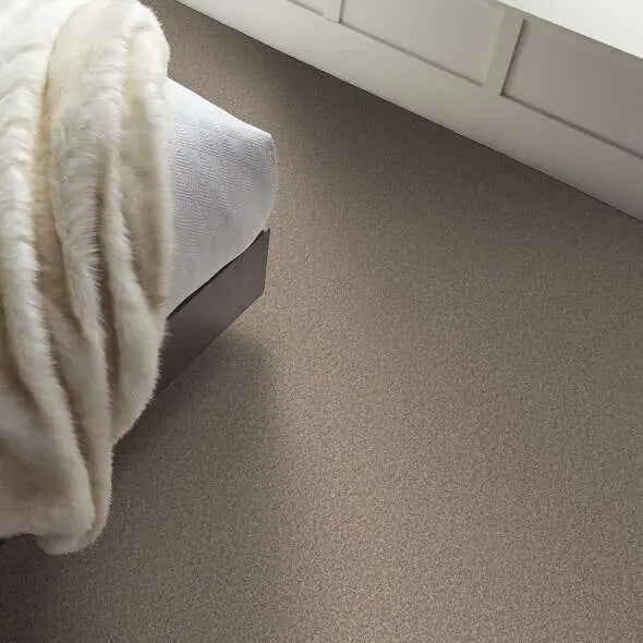 Colorwall - Tweed Comfort I - Carpet Shaw Floors