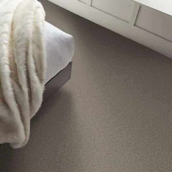 Colorwall - Tweed Comfort I - Carpet Shaw Floors