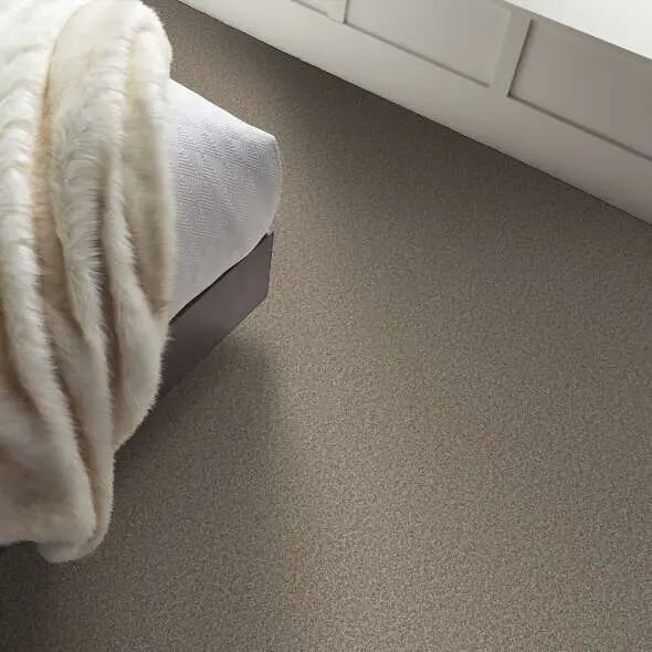 Colorwall - Tweed Comfort I - Carpet Shaw Floors