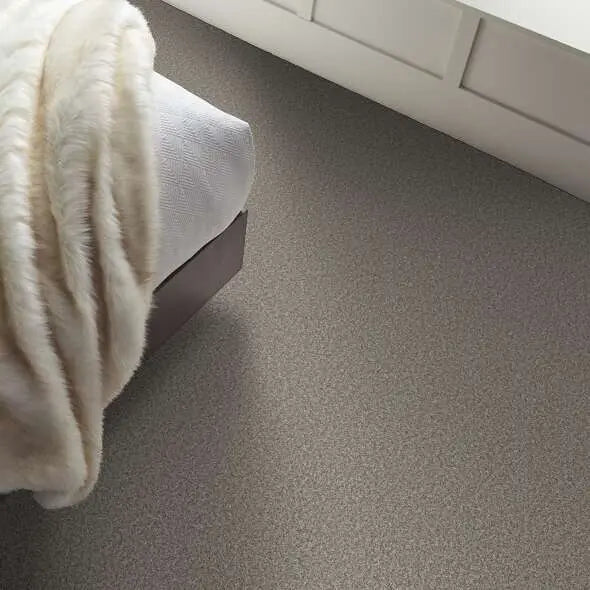 Colorwall - Tweed Comfort I - Carpet Shaw Floors