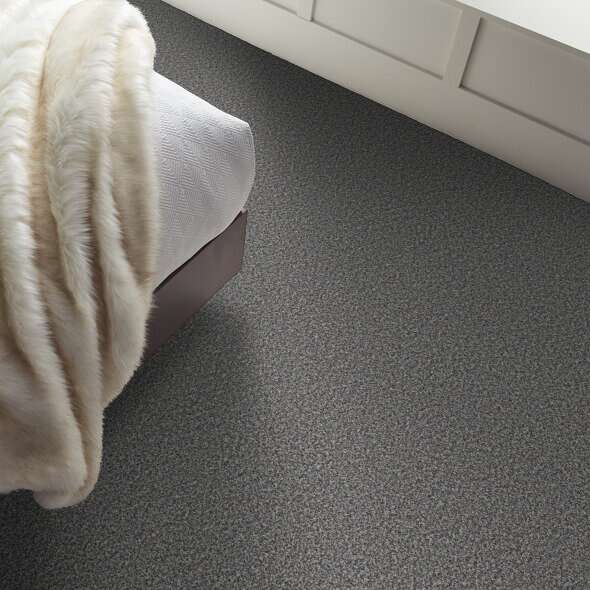 Colorwall - Tweed Comfort I - Carpet Shaw Floors