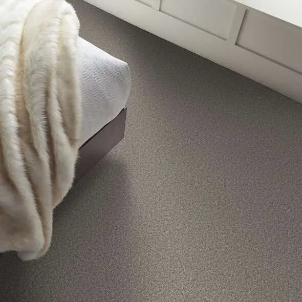 Colorwall - Tweed Comfort I - Carpet Shaw Floors