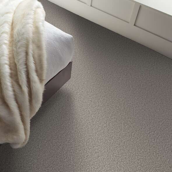 Colorwall - Tweed Comfort I - Carpet Shaw Floors