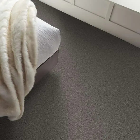 Colorwall - Tweed Comfort I - Carpet Shaw Floors
