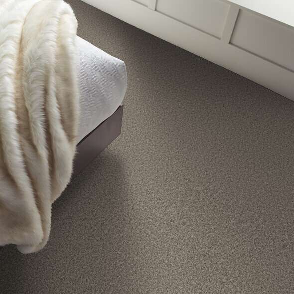 Colorwall - Tweed Comfort I - Carpet Shaw Floors