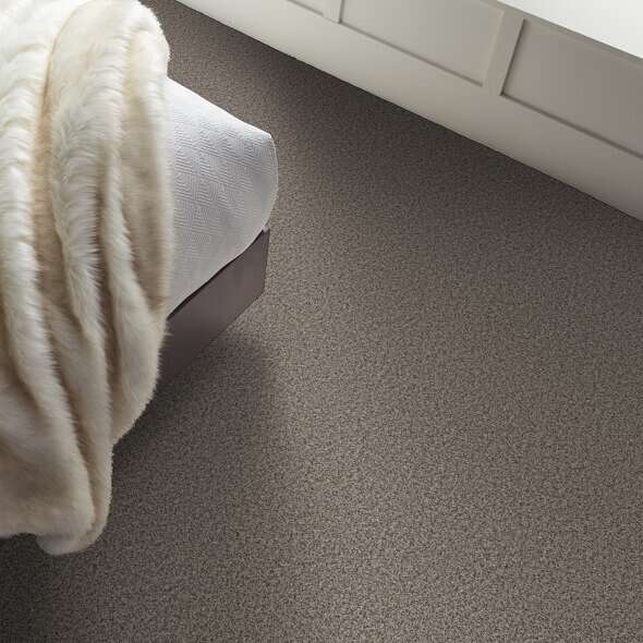 Colorwall - Tweed Comfort I - Carpet Shaw Floors