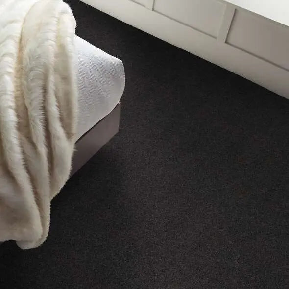 Caress - Cozy Harbor II - Carpet Shaw Floors