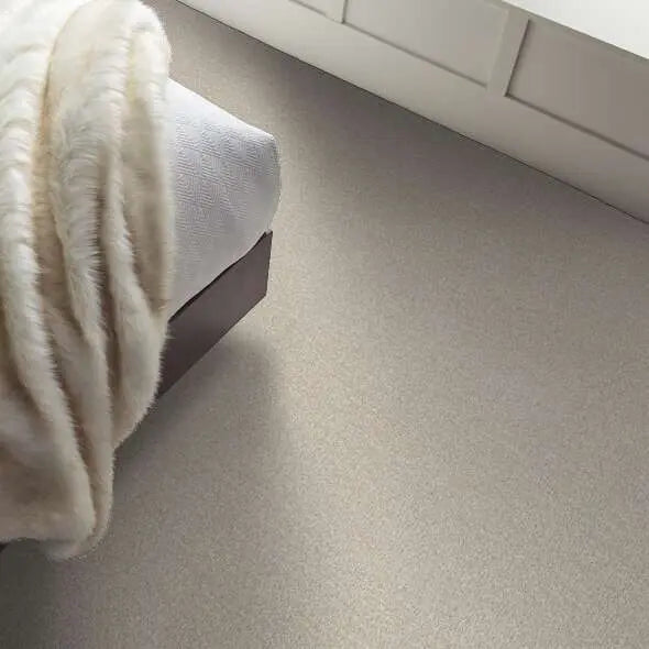 Caress - Ombre Whisper - Carpet Shaw Floors