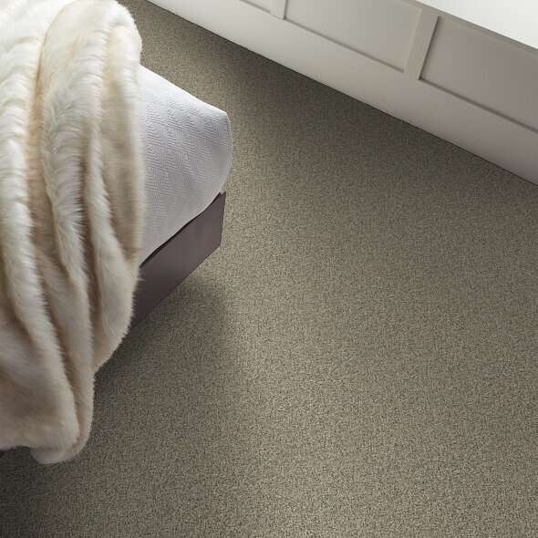 Caress - Angora Classic II - Carpet Shaw Floors