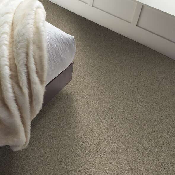 Caress - Angora Classic II - Carpet Shaw Floors