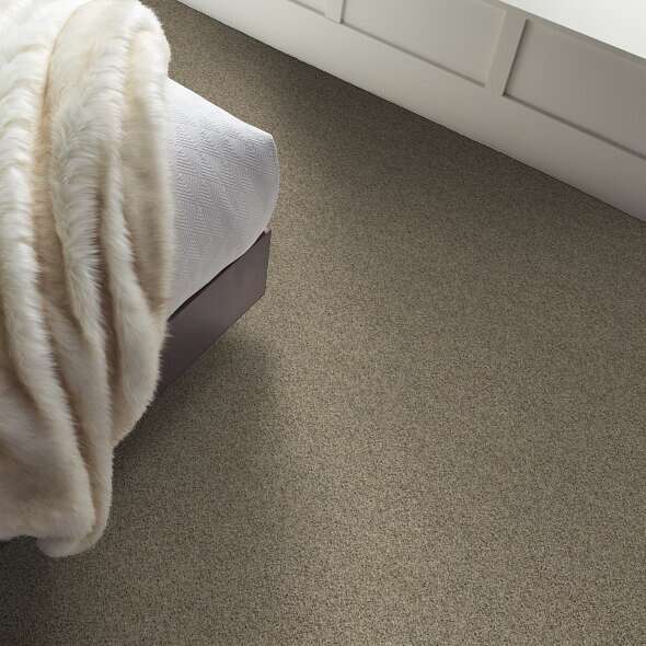 Caress - Angora Classic III - Carpet Shaw Floors