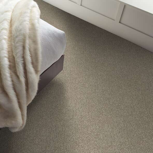 Caress - Angora Classic II - Carpet Shaw Floors
