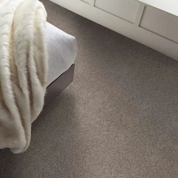 Colorwall - Find your comfort II -Accent - Carpet Shaw Floors
