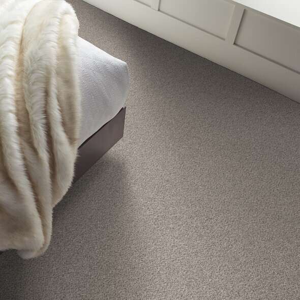 Colorwall - Find your comfort II -Accent - Carpet Shaw Floors