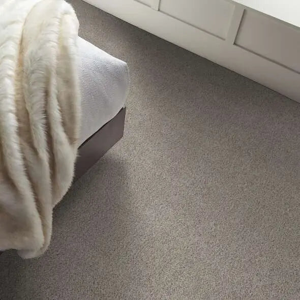 Colorwall - Find your comfort II -Accent - Carpet Shaw Floors