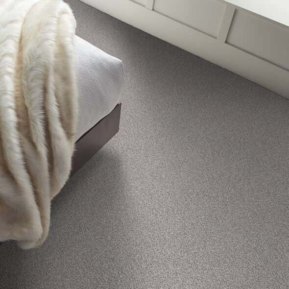 Colorwall - Find your comfort II -Accent - Carpet Shaw Floors