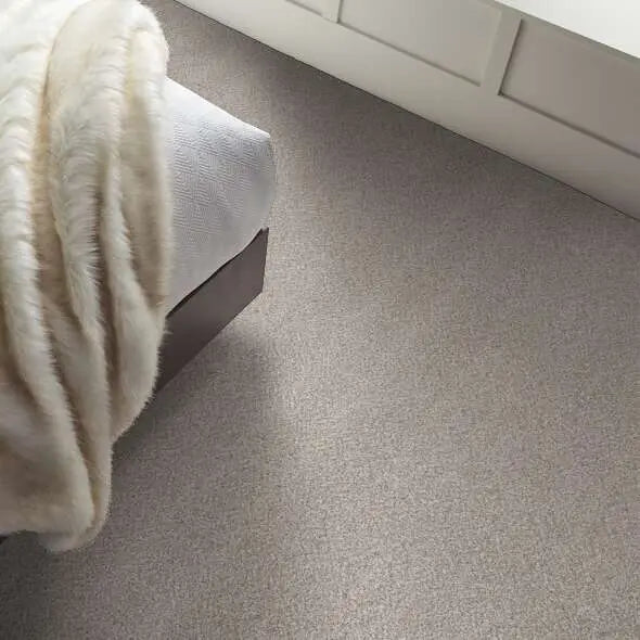 Colorwall - Find your comfort II -Accent - Carpet Shaw Floors
