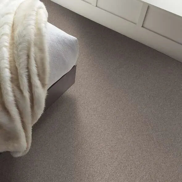 Colorwall - Find your comfort II -Accent - Carpet Shaw Floors