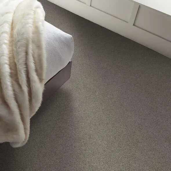 Colorwall - Find your comfort II -Accent - Carpet Shaw Floors