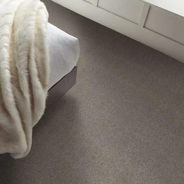 Colorwall - Find your comfort II -Accent - Carpet Shaw Floors