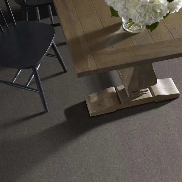 Caress - Cozy Harbor I - Carpet Shaw Floors