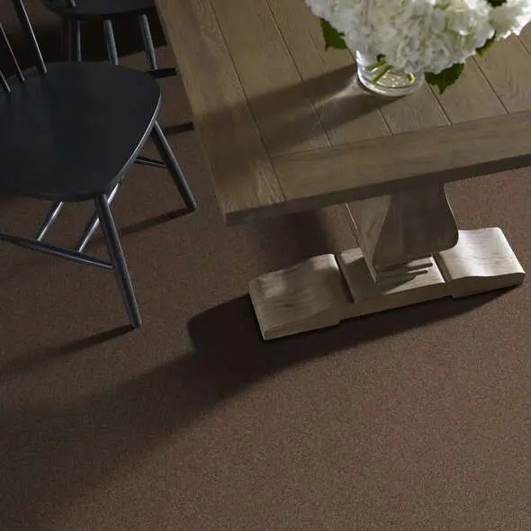 Caress - Cozy Harbor I - Carpet Shaw Floors