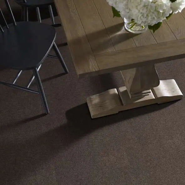 Caress - Cozy Harbor I - Carpet Shaw Floors